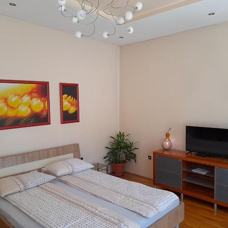 Dr Apartment Újvidék Kültér fotó