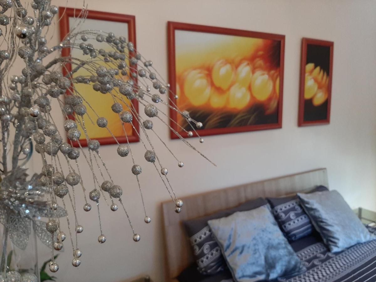 Dr Apartment Újvidék Kültér fotó