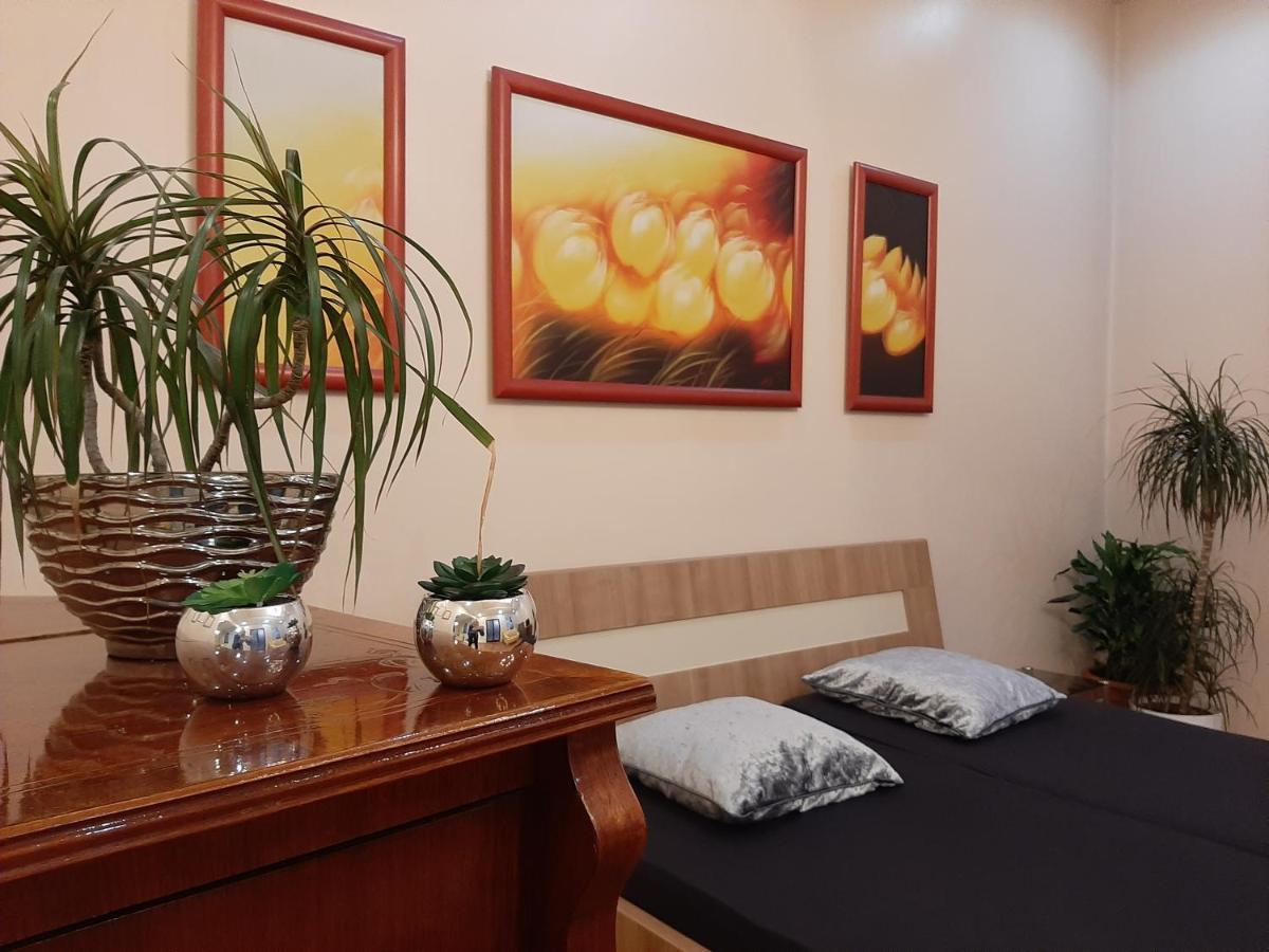 Dr Apartment Újvidék Kültér fotó