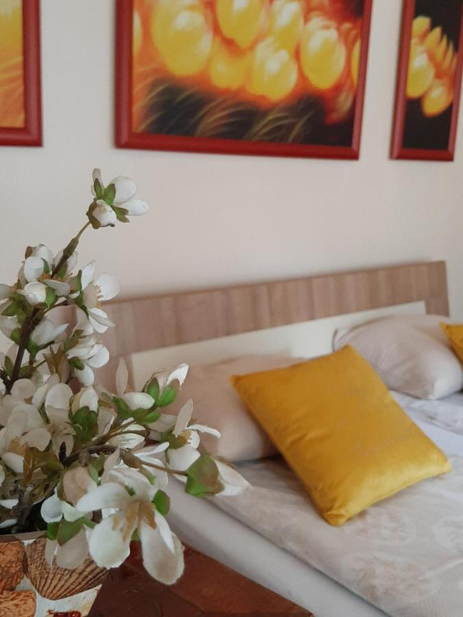 Dr Apartment Újvidék Kültér fotó